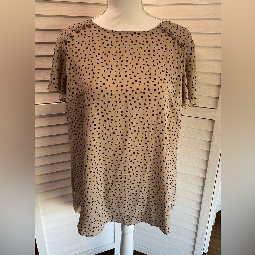 Fortune + Ivy Chic Dotted Short Sleeve Blouse